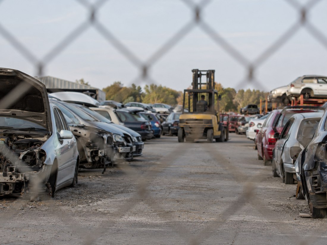 Rows of older cars in an auto dismantler's yard behind a chain-link fence